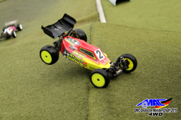 2015 DM 4WD Buggy 4WD Juni